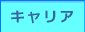 キャリア