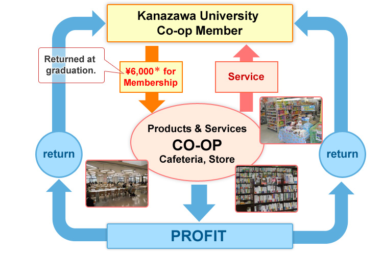 Kanazawa University Cooperative Structure